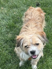 Frankie - Photo 5