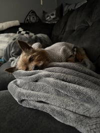 Ripley - Photo 8