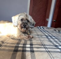 Coco - Photo 5