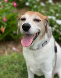 Hattie - Photo 2