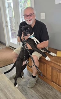Pup aka Buddy - ADOPTION PENDING!!! - Photo 2