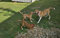 June - Photo 14