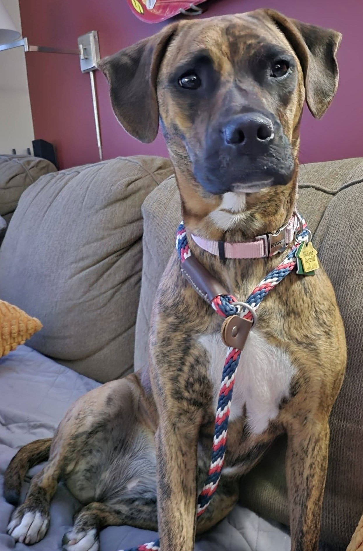Layla - Photo 3
