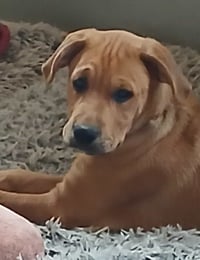 Theodore - Photo 10