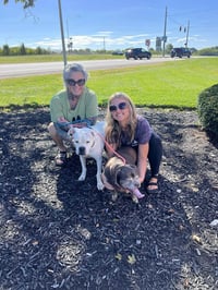Lady aka Ladybug - BONDED WITH LEO!! - Photo 16