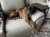 Gemma - Photo 3