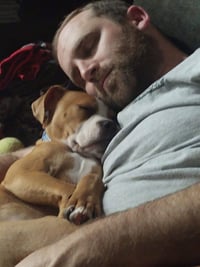 Ashton now Tyson - FOSTER OR ADOPT ME!! - Photo 13