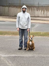 Ashton now Tyson - FOSTER OR ADOPT ME!! - Photo 6