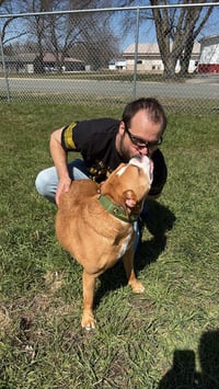 Ashton now Tyson - FOSTER OR ADOPT ME!! - Photo 2