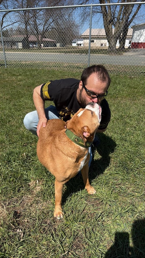 ASHTON NOW TYSON - FOSTER OR ADOPT ME!! - Boxer available for adoption