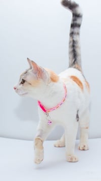Seniorita - Photo 3