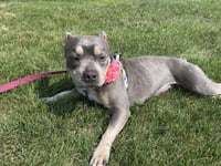 Lainey *Petite Princess*TRANSPORTATION AVAILABLE* - Photo 2