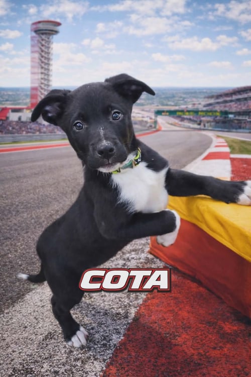 COTA