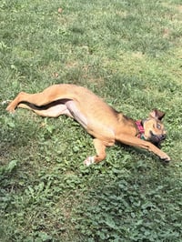 Rhonda - Photo 2