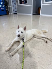 Blanca - Photo 3