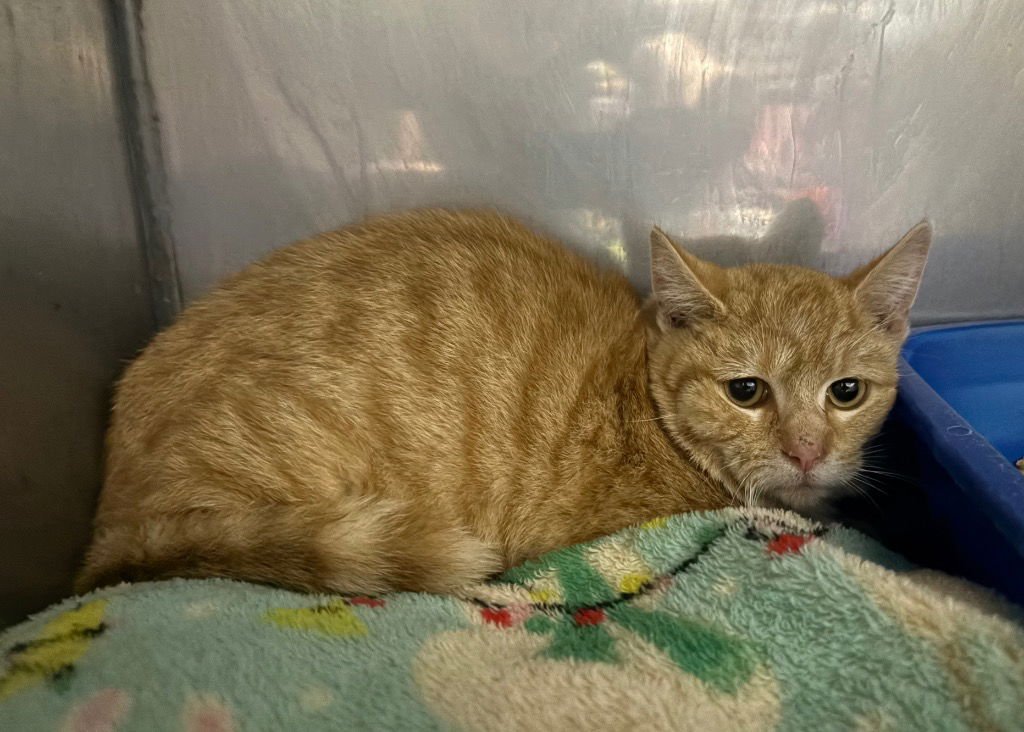 Luther- silo - Photo 3