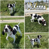 McKenna - Photo 1