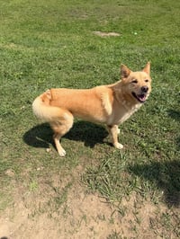 Zeke - Photo 3