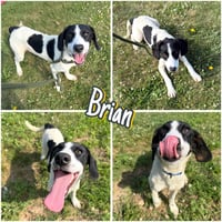 Brian - Photo 1