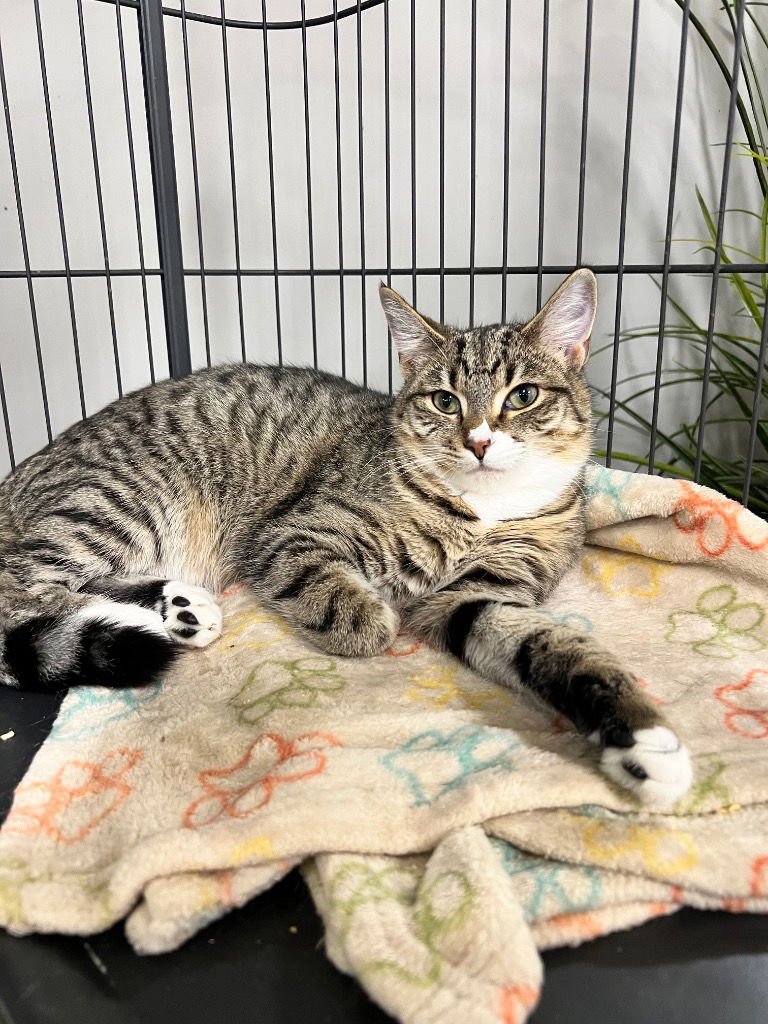 Frappe -LONG TERM 5*27*25-Fee Waived - Photo 3