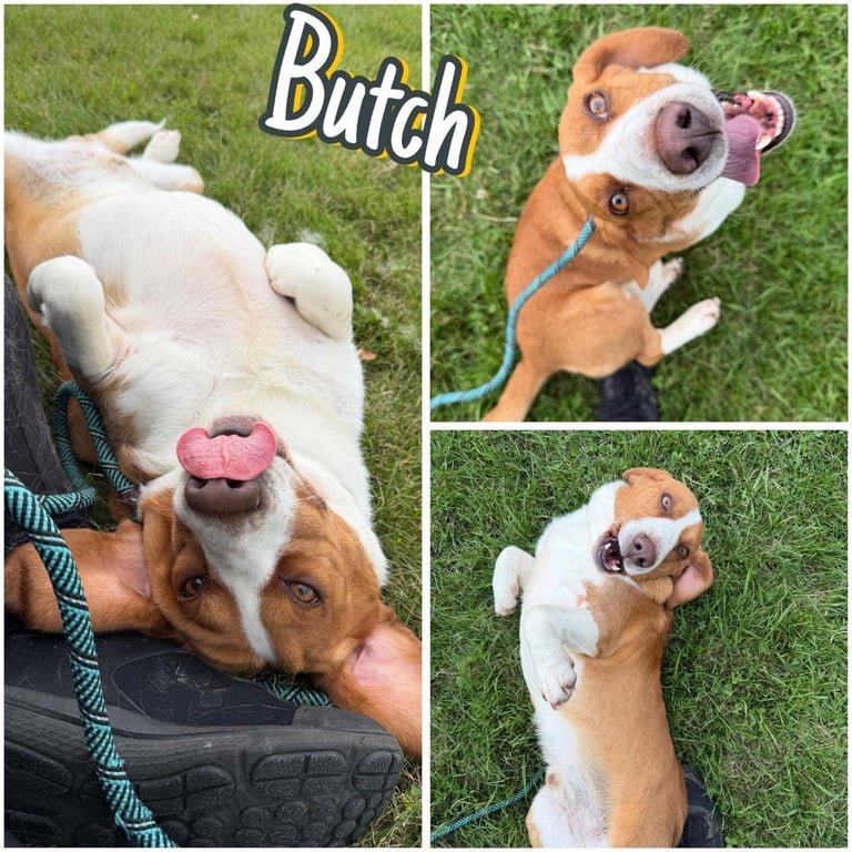 Kevin (Butch) Image