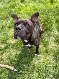 Reaper - Long Term Resident - Fee Waived - Photo 4