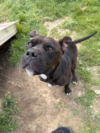 Reaper - Long Term Resident - Fee Waived - Photo 2