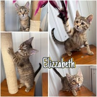 Elizzabeth - Photo 1