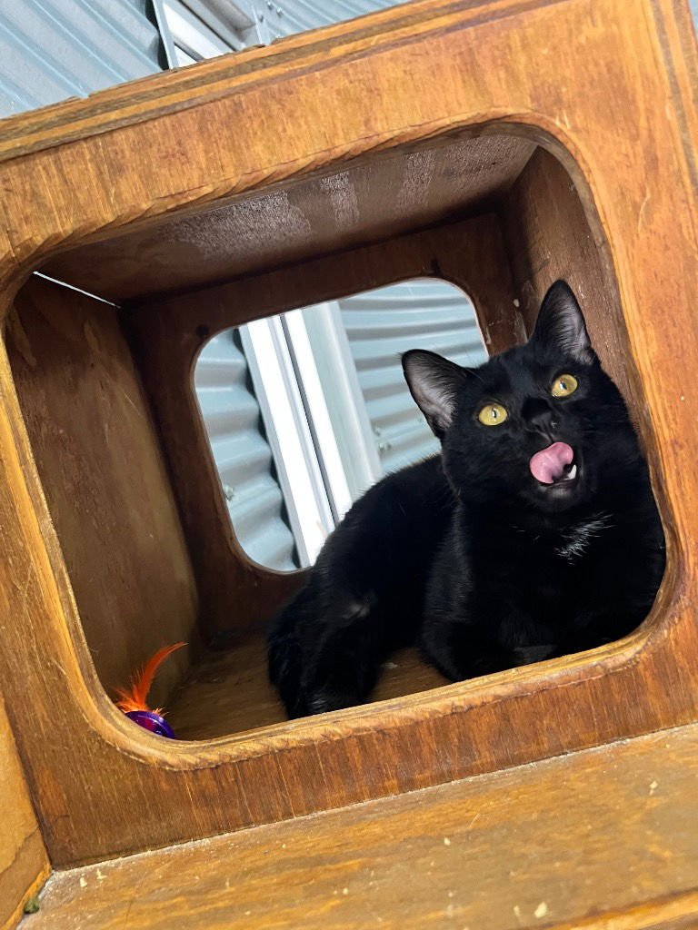 Spirit - Silo Fee Waived - Photo 3