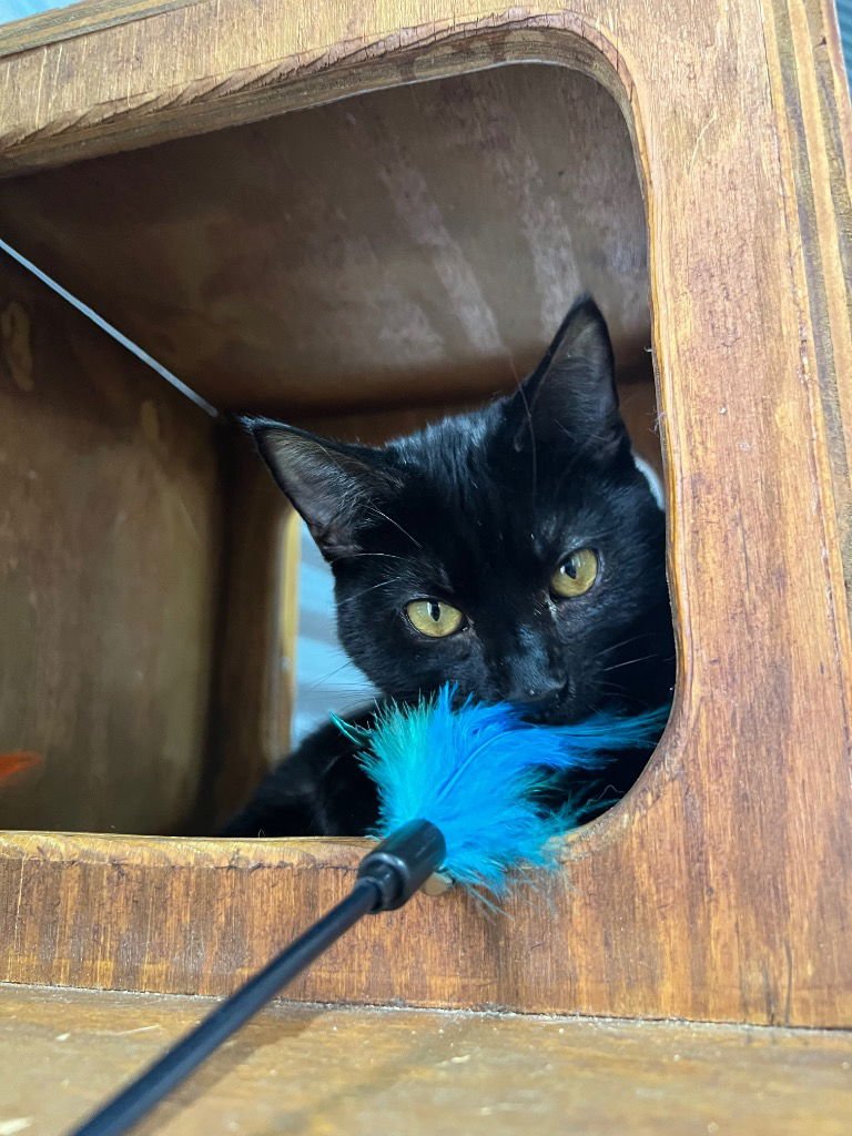 Spirit - Silo Fee Waived - Photo 4