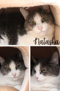 Natasha - Photo 1