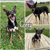 Corey - Photo 1