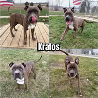 Kratos - Photo 1