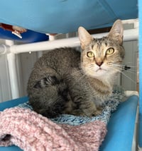 Casey - Long Term Resident - Photo 2