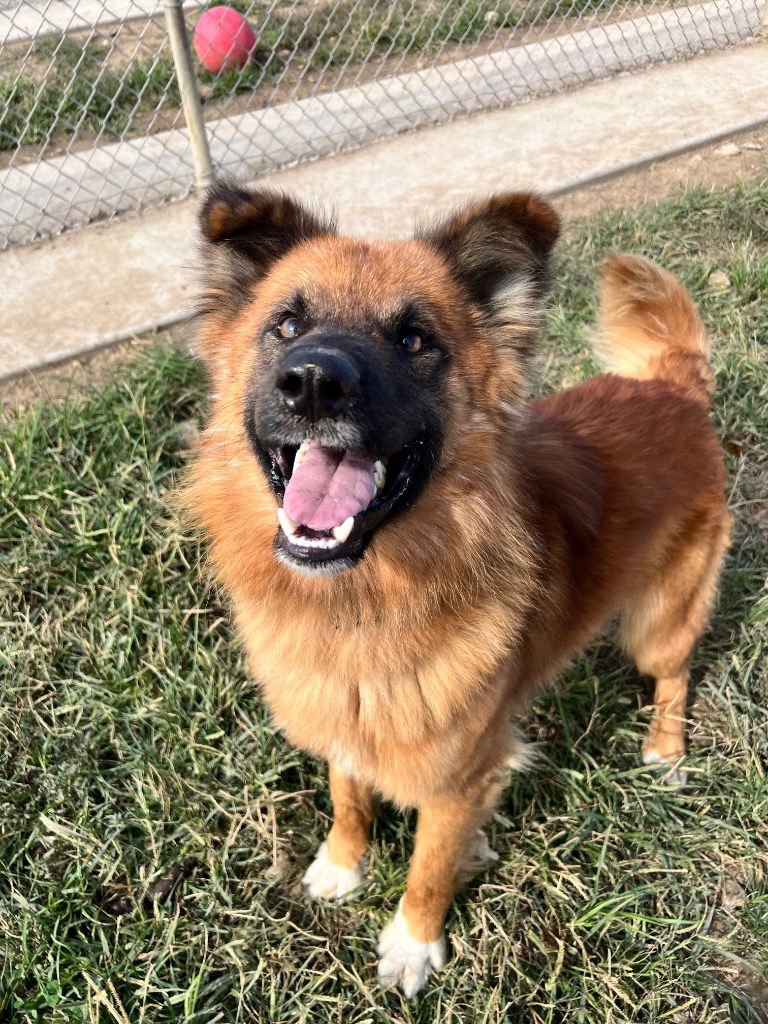 Butterball - Photo 3