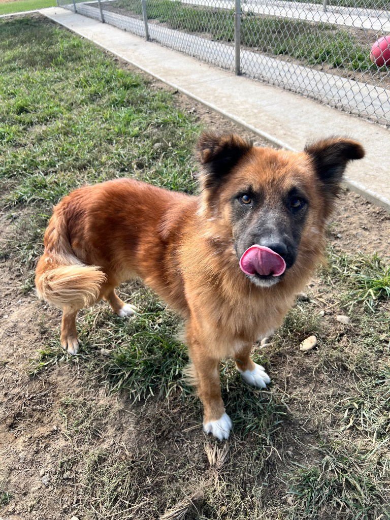 Butterball - Photo 4