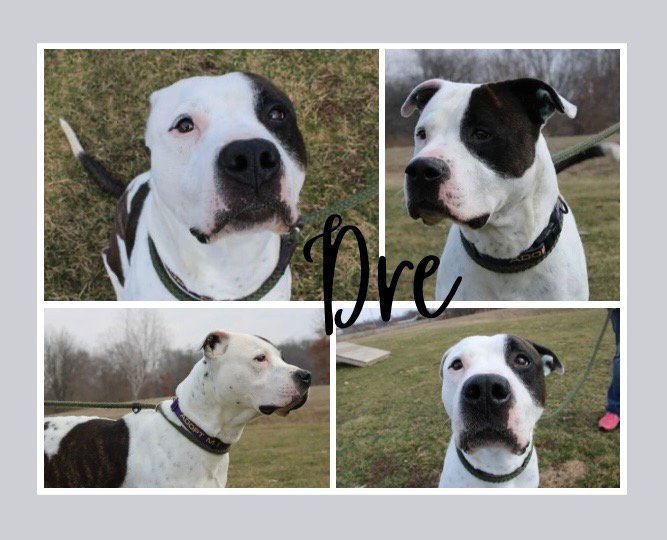 Dre Image