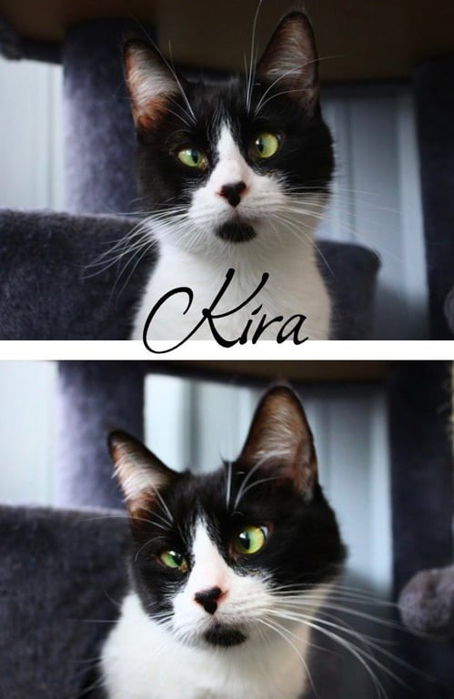 Kira Image
