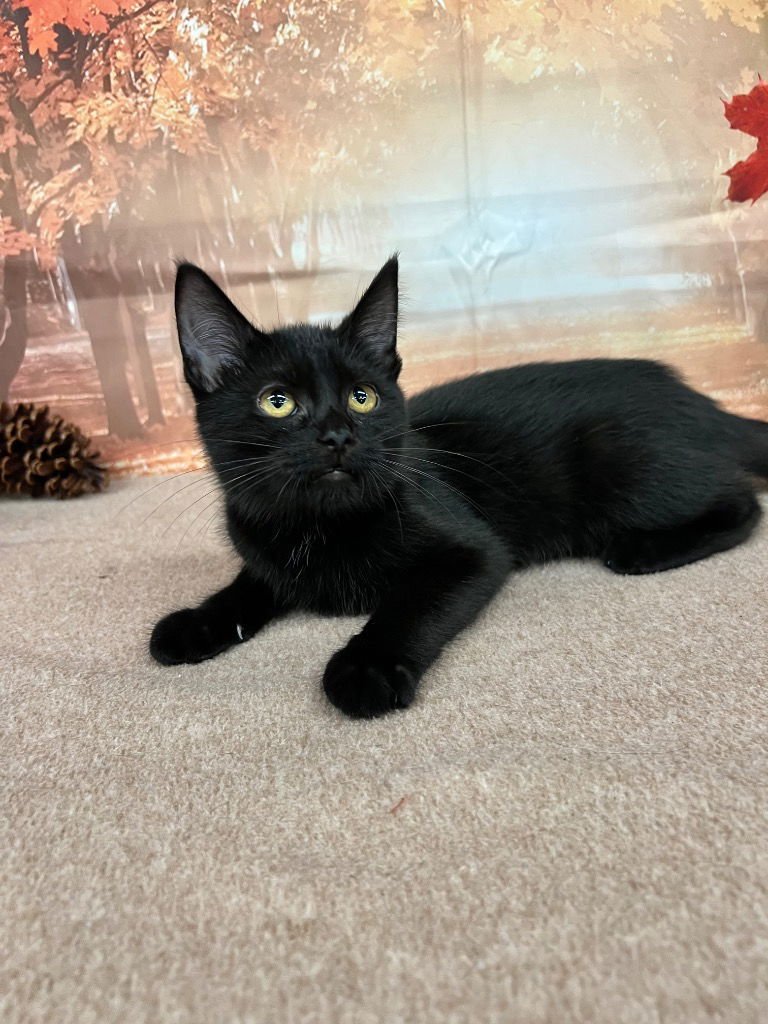 Grace- silo - Photo 3