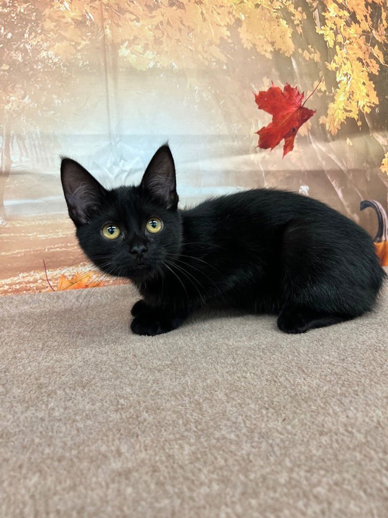 Grace- silo - Photo 4