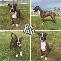 Kilo - Photo 1