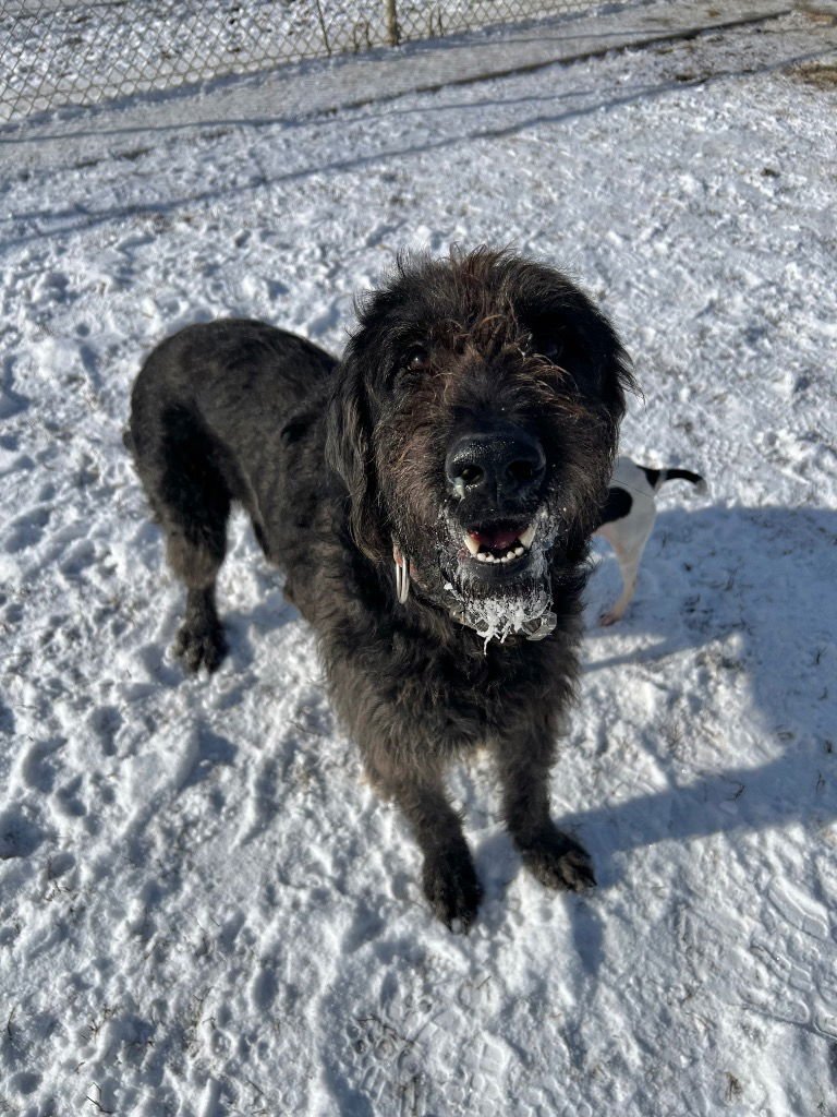 King - Fee Waived - Photo 4