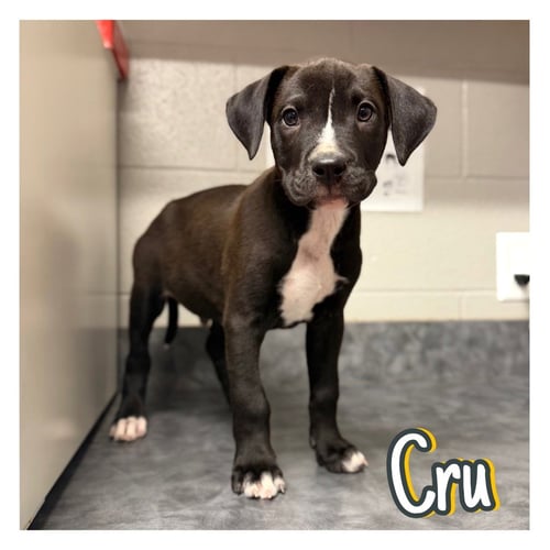 CRU