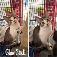 Glow Stick - Photo 1
