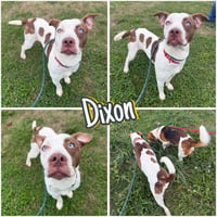 Dixon - Photo 1