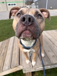 Zeus - Photo 3