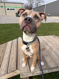 Zeus - Photo 2