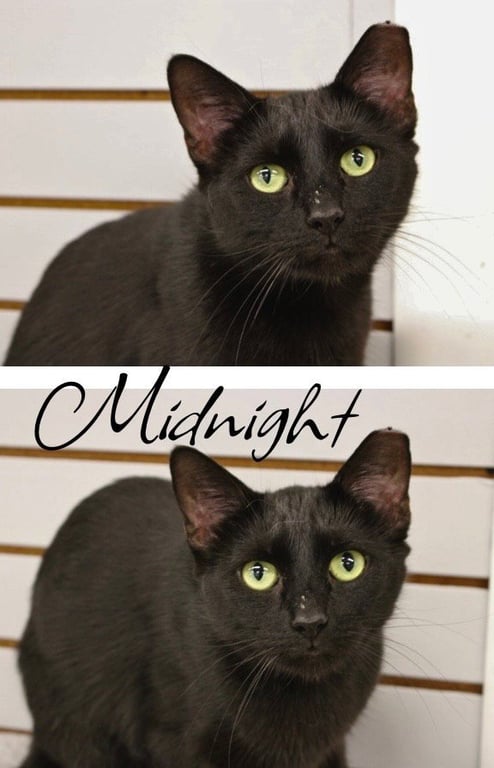 Midnight Image