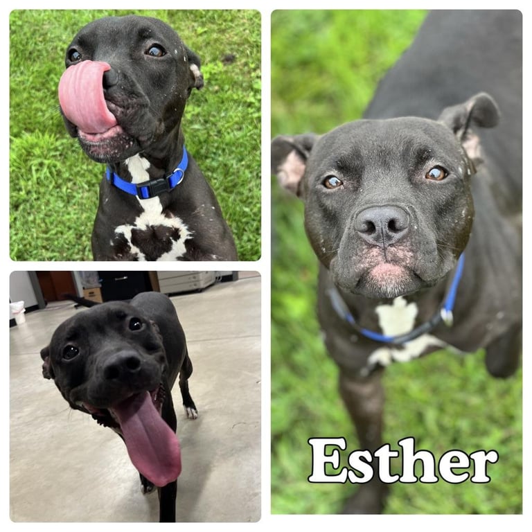 Esther Image