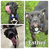 Esther - Photo 1